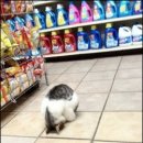 그래도마트 이미지