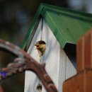 땅끝풍경펜션 이미지