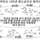 올해가 검은 토끼 해인 이유 이미지