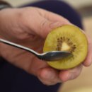 소랑다래랑 이미지