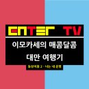 보위옥 이미지