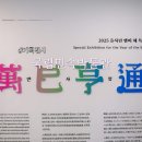 국립민속박물관 뱀 기획전시 만사형통 관람 후기