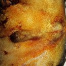 기흥동물병원 이미지