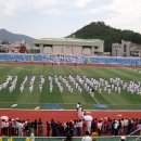 완도중앙초등학교 이미지