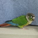 기적의도서관1길 이미지