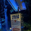 솔향수목원(솔숲광장) | [강릉] 솔향수목원 야간개장 — 산책 후기