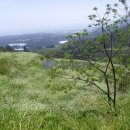 상예동-3 이미지