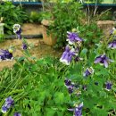 아름다운농장비밀의화원 이미지