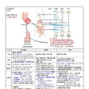 [고급영양학]기초학습용 이미지