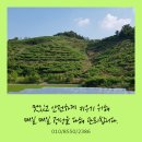 현옥농장 이미지