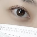 동도초등학교 | 대구 수성구 범어동 속눈썹펌 속눈썹 연장 잘하는 곳: 뷰티연구소