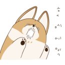 조이온 PC 이미지