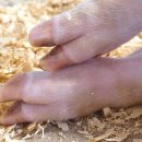 우화농장 이미지