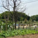 양평읍사무소 이미지