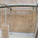 센띠에로 이미지