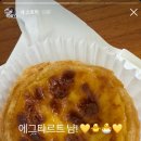 🌿 이미지