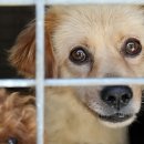 장형농장 이미지