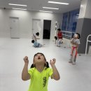 그린나래태권도장 이미지