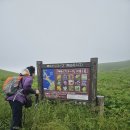 다시 찾은 레분섬 - 미사키코스 이미지