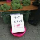 오오키 네이버블로그