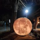 나무이야기 펜션 리솜포레스트 이미지