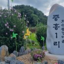 호수풍경 대전일보
