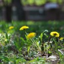 소향공원 이미지