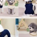 세라앤코코