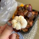 11500-5-48-11 | 푸켓 3박 5일 여행기록🏖️ 4,5일차 : 센트럴빠통...선데이 마켓, 올드타운 맛집, 아시아나 푸켓-인천 후기