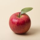 한성영농 이미지