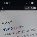 새연 이미지