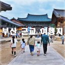 율원5천 | 부산 근교 여행지 양산 통도사 암자 16만 도자 대장경 찾아