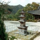 용연사 티스토리