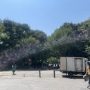 세겹집2