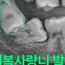 미남치과의원 이미지