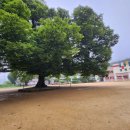 소호 푸른정원 이미지