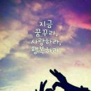 상록수공인중개사사무소 이미지