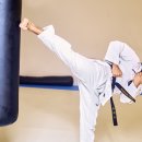 사람이아름다운태권도 이미지