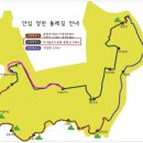 도심코스 이미지