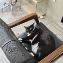 단골미용실 이미지