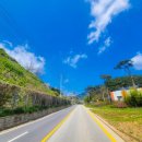 천천면사무소~천천삼거리 이미지