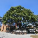 선황경로당 이미지