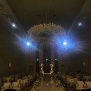 이베리스 | 청주 메리다 이베리스 홀 계약 후기😗