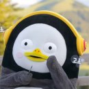 현석이네축산 이미지