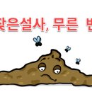 예맥당한의원 이미지