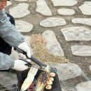 곡성 청소년야영장 | 전라남도 곡성청소년야영장 후기 크리스마스 캠핑