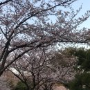 계명아파트 | 전남 화순 금호리조트 휴그린 스위트(취사) 1박 후기