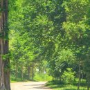 논산시립노인전문병원 | 논산시, 시립노인전문병원 민간위탁 '백제병원' 선정… 2026년부터 3년간 운영