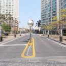 구.목동초 이미지