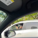 연경축사 이미지